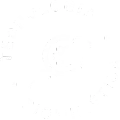 biomimetic